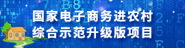 國家電子商務(wù)進(jìn)農(nóng)村綜合示范升級版項(xiàng)目