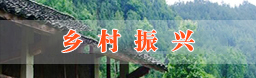 鄉(xiāng)村振興